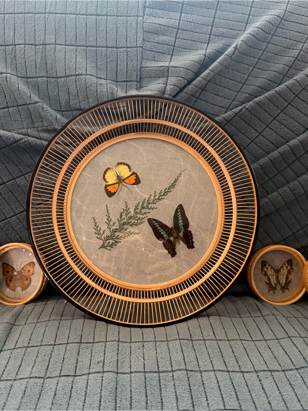 Vintage JetJapan Set - 1970s Butterfly Plant Serving Tray in Bamboo/Rattan